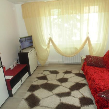 Lary Apartament Suceava Buitenkant foto
