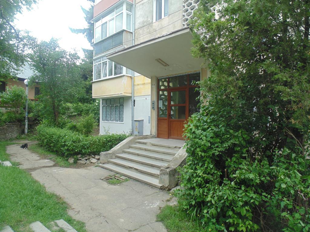 Lary Apartament Suceava Kamer foto