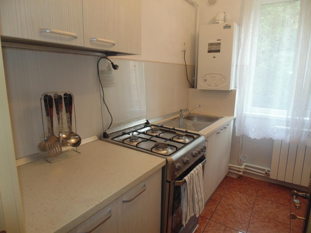 Lary Apartament Suceava Kamer foto